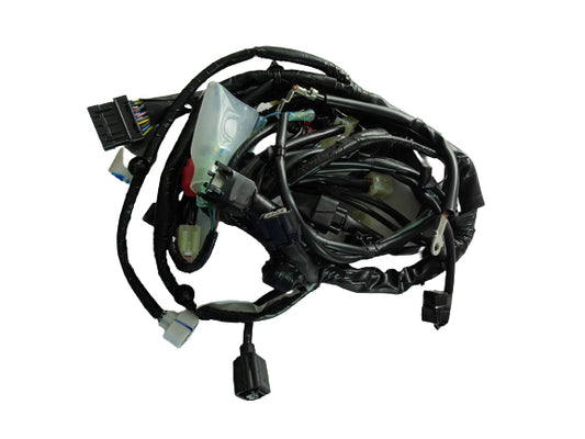 HARNESS,WIRE-RS150R V4