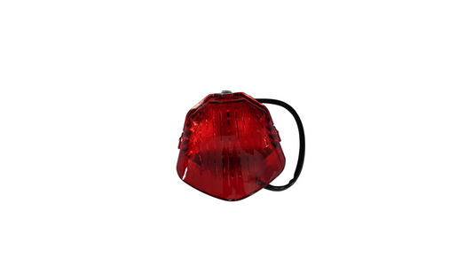 UNIT,TAIL LIGHT RS150R V4