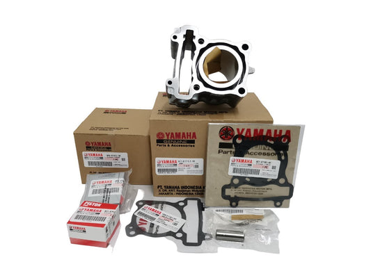 3C1-ECYL1-10-CYLINDER SET,KIT 8-FZ150