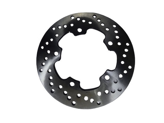RR BRAKE DISK-EVO250i