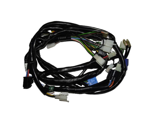 WIRE HARNESS ASSY-NOUVO