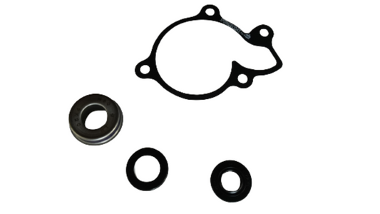 WATER PUMP SEAL SET-BENELLI