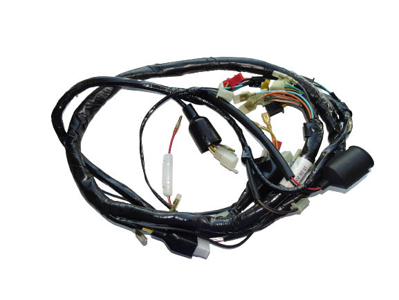 WIRE HARNESS (C1)