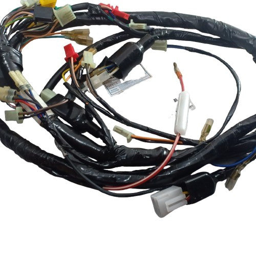 P6581602000-WIRE HARNESS (C1)