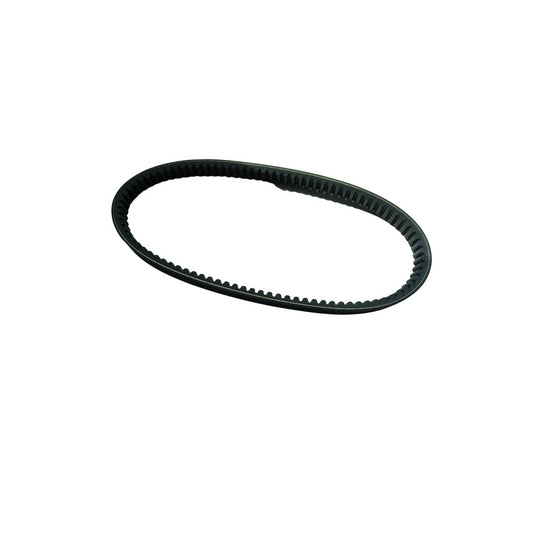 DRIVE BELT-EVO250i